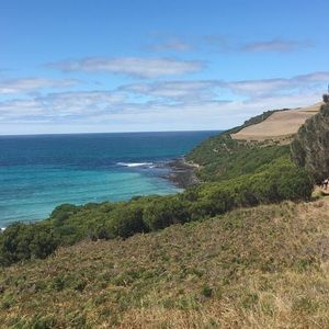 Meet your Posher, Skye